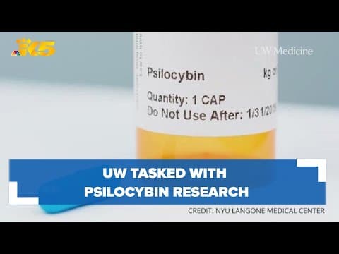 UW Medicine tasked with 'magic mushroom' research for mental health therapy: HealthLink