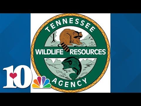 TWRA investigating fish kill on Pigeon River