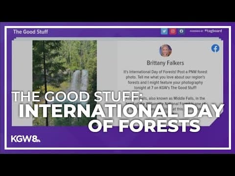 The Good Stuff: Celebrating International Day of Forests