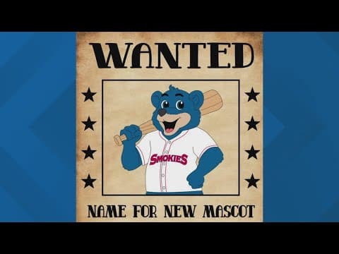 Knoxville Smokies needs help in naming 2 new mascots