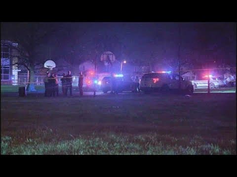 Mayor Ginther proposes increased police presence, cameras at Columbus parks