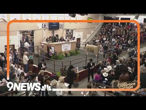Previewing the Steffes Group Mile High Auctioneer Championship