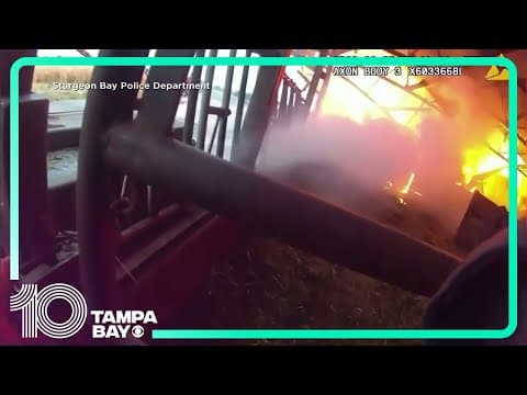 Cows trapped in burning barn freed by heroic police officer