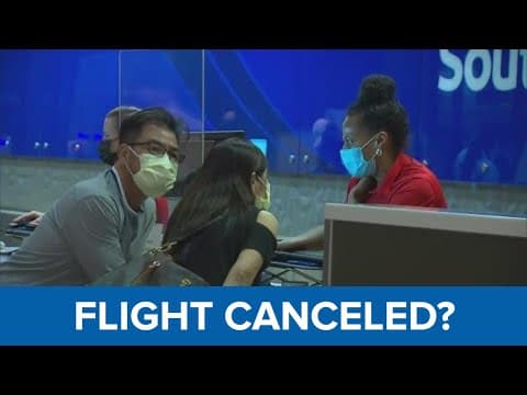 What passengers can do if they find themselves stranded at the airport