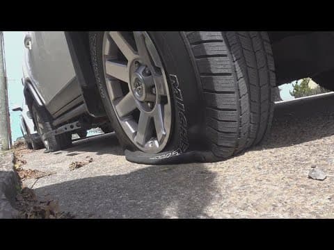 Student accused of slashing tires of more than 40 vehicles around UT campus had gun, ammo in her car