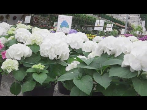 Here are some things to keep in mind as you start planting this spring