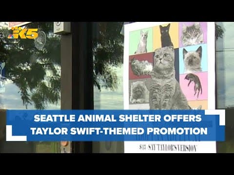 Seattle Animal Shelter offering $13 cat adoption fees in honor of Taylor Swift's arrival