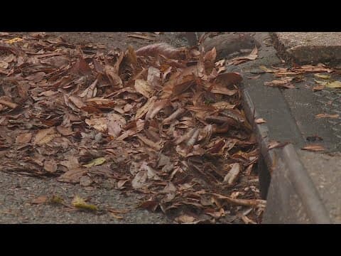 SWBNO faces uphill battle on drain cleanup