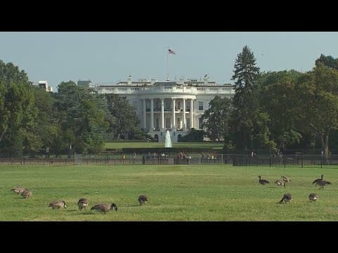 Judge rules against layoffs ordered by Trump administration