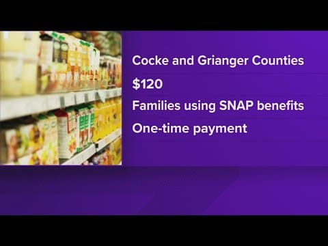Underserved families in 15 Tennessee counties to get $120 through state's summer nutrition initiativ