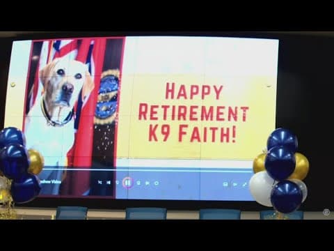 TBI hosts retirement party for K-9 officer Faith