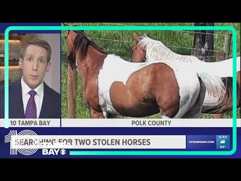 Deputies: 2 horses stolen from private property in Frostproof