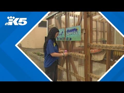 Gardening program gives young offenders 'Seeds of Change'