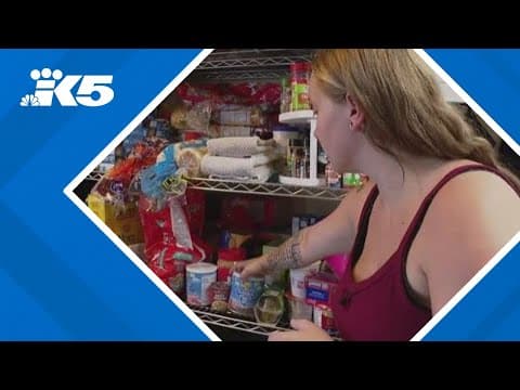 Guaranteed income being studied on Olympic Peninsula