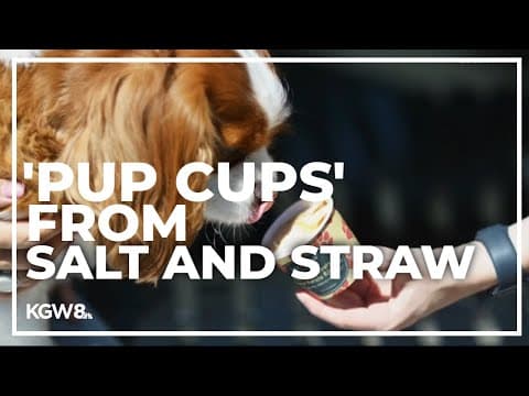 Salt and Straw rolls out ‘Pup Cups’ for dogs