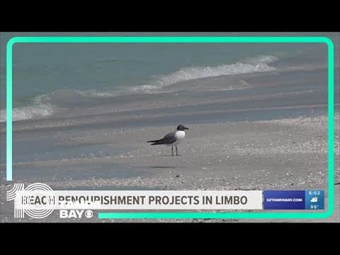 Rep. Anna Paulina Luna asks Army Corps of Engineers to renourish Pinellas beaches