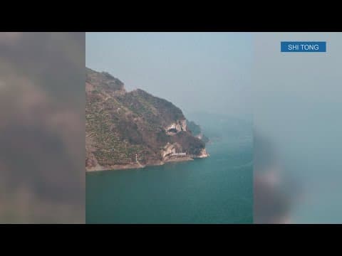 Many flock to see pawsome 'Puppy Mountain' in China