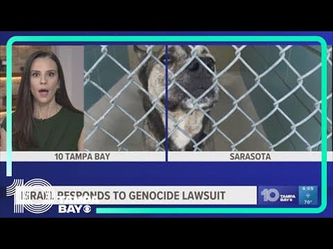 Cases of 'K9 flu' confirmed at Tampa shelter