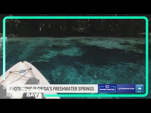 Protecting Florida's freshwater springs