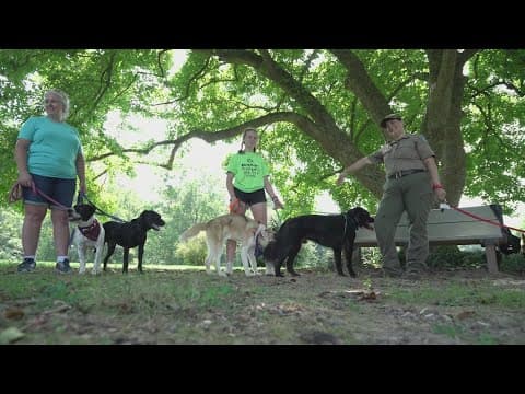 Virginia park ranger adopts troubled dog lost in state park