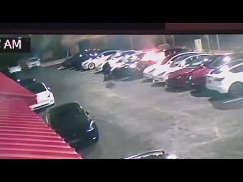 Man who vandalized Tesla service center in Las Vegas to face federal, state charges