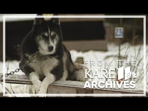 Sled Dogs (1993) From the Archives