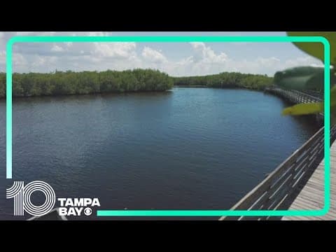 DNA testing coming for waste in Tampa Bay, will help pinpoint pollution sources