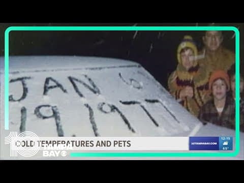 It snowed in Tampa on this day 47 years ago