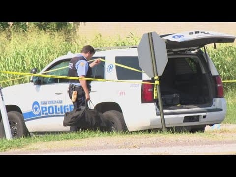 Man shot and killed in front of a discount store on Chef Highway in New Orleans, police say
