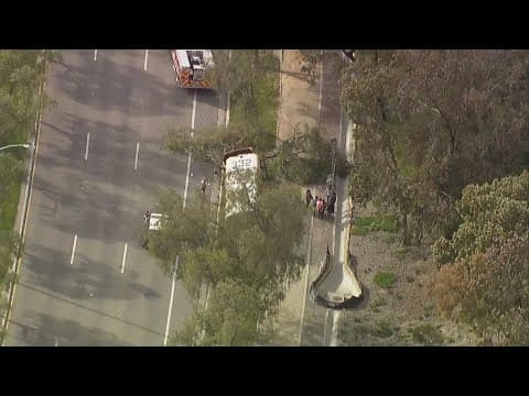 Watch: Chopper 8 captures school bus crash into tree