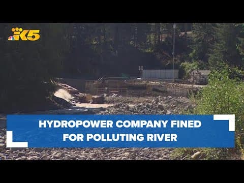 Electron Hydro, COO plead guilty in connection to Puyallup River pollution