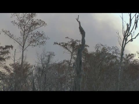 Super fog concerns as marsh fires burn