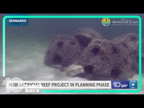 Dozen artificial reef balls to be installed along Hernando County's coast