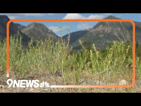 Fire danger remains extreme across western Colorado heading into fall