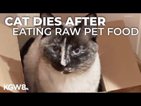Portland man sues pet food company after cat dies from bird flu