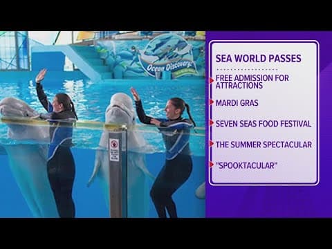 Texas teachers and preschoolers can qualify for free, unlimited pass to SeaWorld San Antonio