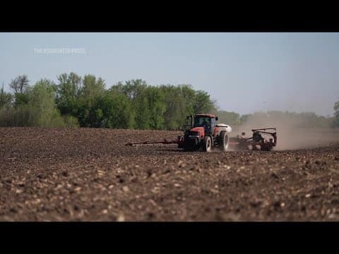 Soybean farmers hope for a deal as China and US pause tariffs