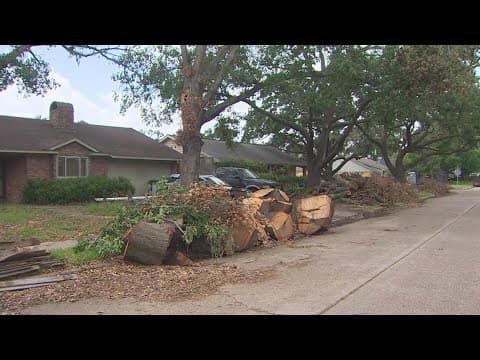 ‘I feel like it’s a lost cause’ | Neighbors frustrated as they wait for storm debris to be picked up