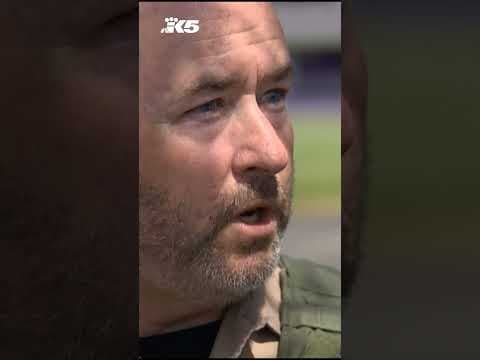 Black bear roams Lakewood neighborhood, prompts brief school lockdown