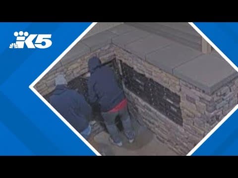 Thieves break into 24 mailboxes at South Hill apartment complex