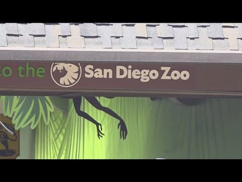 San Diego Zoo Wildlife Alliance mourns loss of three animals in one week