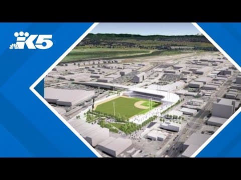 Everett AquaSox score new downtown stadium, ensuring team's home game future