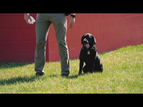K-9's trained to detect explosives at IMS