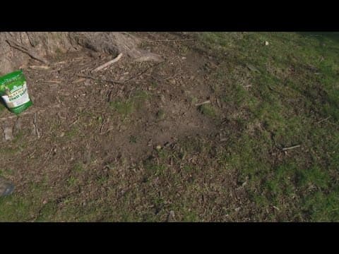 Pat Sullivan's tips for a better lawn