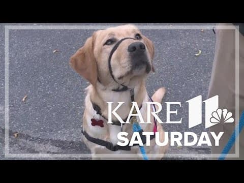 Can Do Woofaroo in New Hope