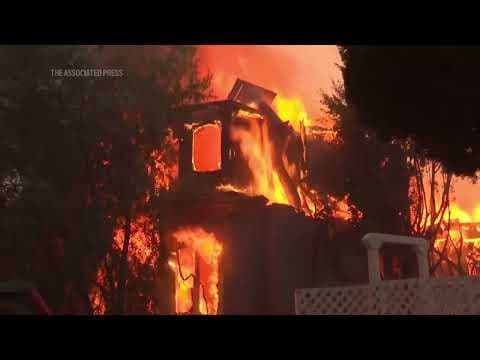 Stars flee as wildfires tear through Los Angeles