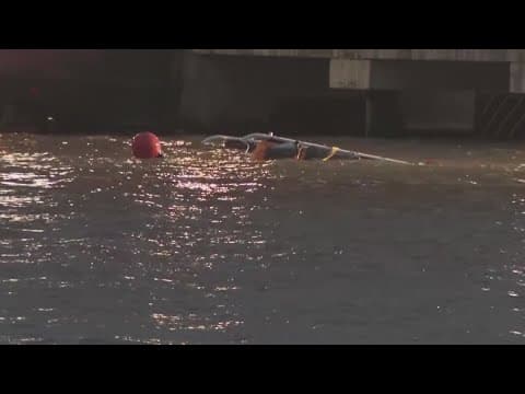 Siemens executive and his family killed in NYC sightseeing helicopter crash