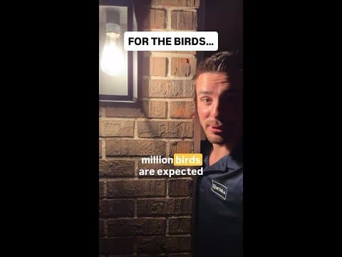 Indiana entering peak bird migration season