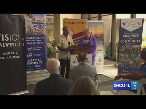 What help is available to homeowners, renters, business owners impacted by Beryl