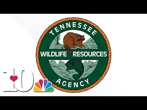 Fisherman dies after falling off boat into Holston River